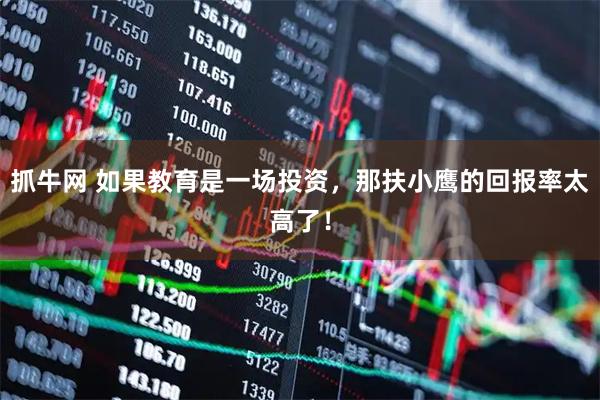 抓牛网 如果教育是一场投资，那扶小鹰的回报率太高了！