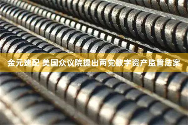 金元速配 美国众议院提出两党数字资产监管法案