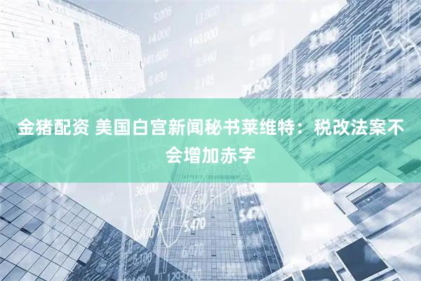 金猪配资 美国白宫新闻秘书莱维特：税改法案不会增加赤字